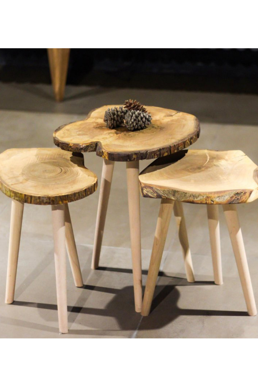 Zigon Sehpa Takımları